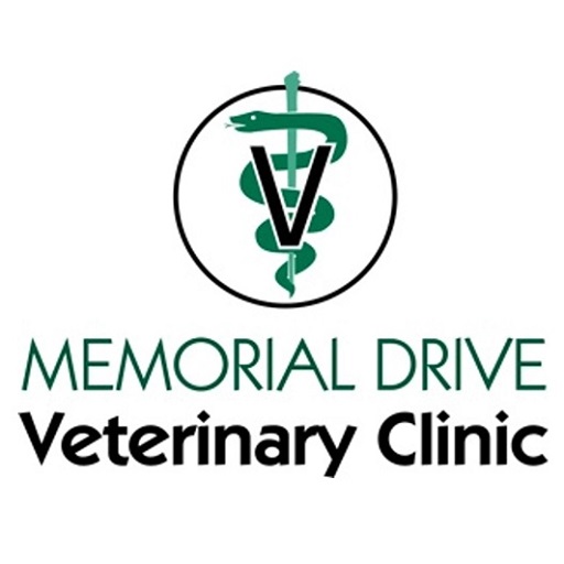 Memorial Drive Veterinary Clinic
